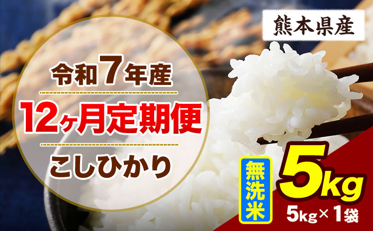 【12ヶ月定期便】令和7年産 定期便 こしひかり 5kg  無洗米 阿蘇 うぶやま 米 定期便 熊本県産 ふるさと納税 精米 ひの 米 こめ ふるさとのうぜい コシヒカリ コメ お米 おこめ《お申込み翌月から出荷》