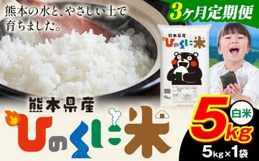 【3ヶ月定期便】 白米 ひのくに米 5kg 《お申込み翌月から出荷》 食品 米 こめ コメ 熊本県産 ふるさと納税 お米 おこめ 熊本