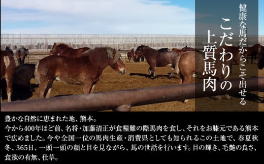 馬刺しの皿盛り(スライス)計640g【熊本肥育】 赤身400g/フタエゴ120g/コーネ120g(タレ5ml×6袋) 《90日以内に出荷予定(土日祝除く)》