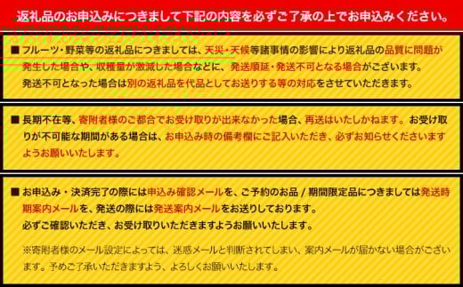 《先行受付開始》産地直送 とうもろこし 朝採れ スイートコーン ゴールドラッシュ 10本セット 特大 熊本 阿蘇 産山村トウモロコシ ギフト 今が旬 コーン 旬 お取り寄せ 人気 大人気 贈答《2026年7月中旬-8月中旬出荷》