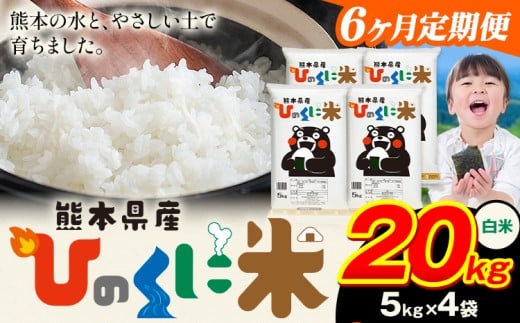 【6ヶ月定期便】 白米 ひのくに米 20kg 《お申込み翌月から出荷》 食品 米 こめ コメ 熊本県産 ふるさと納税 お米 おこめ 熊本