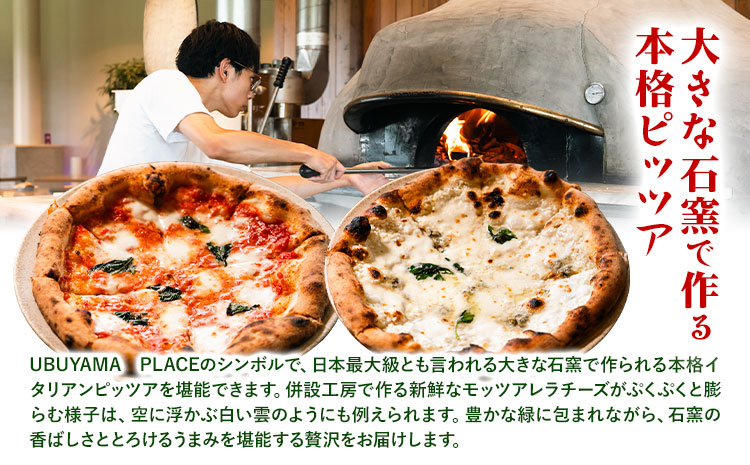 UBUYAMA PLACE レストラン 商品券 3000円 《30日以内に出荷予定(土日祝除く)》熊本県 産山村 チケット イタリアン ピザ 観光 プレゼント 贈り物 ギフト 金券 送料無料 産山 プレイス ランチ