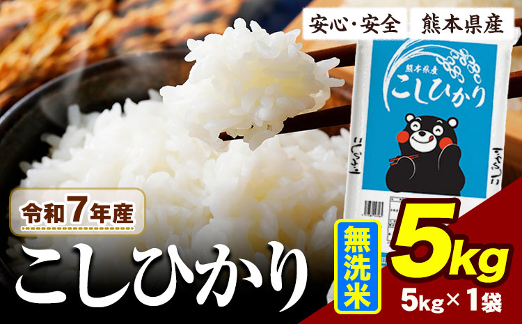 令和7年産 こしひかり 5kg 《7-14日以内に出荷予定(土日祝除く)》熊本県産 ふるさと納税 無洗米 ひの 米 こめ ふるさとのうぜい コシヒカリ コメ お米 おこめ