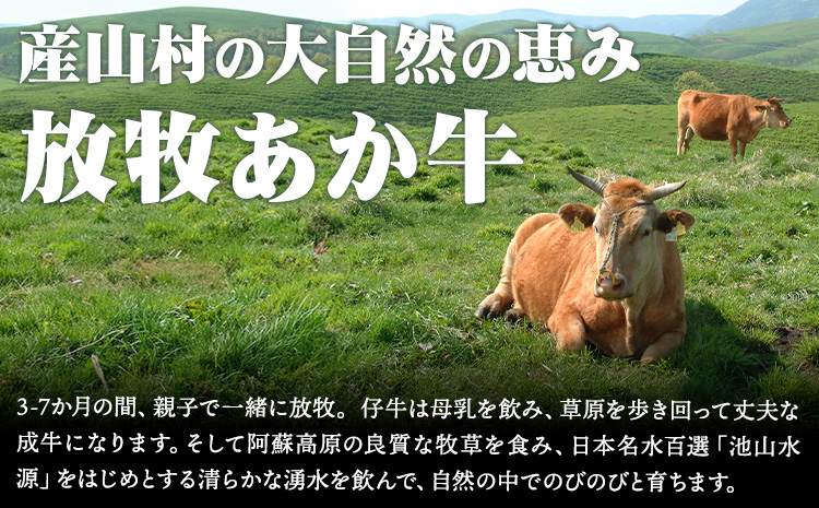 放牧 あか牛 ホルモン焼き 300g 焼肉正 ホルモン ギフト 贈り物 お歳暮 贈答 熊本 阿蘇 産山村 《30日以内に出荷(土日祝除く)》牛肉 牛 あか牛 おつまみ【配送不可地域あり】