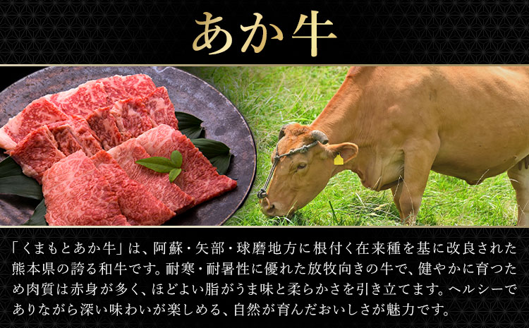 あか牛＆黒毛和牛ミックス牛肉切り落とし 500g 熊本県畜産農業協同組合《60日以内に出荷予定(土日祝除く)》熊本県 産山村 くまもとあか牛 くまもと黒毛和牛 切り落とし 牛肉 肉 熊本県産 和牛 あか牛 黒毛和牛【配送不可地域あり】（離島）
