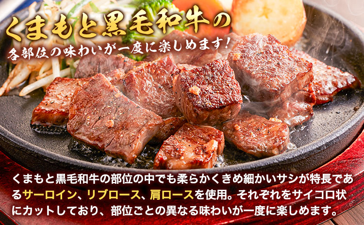 くまもと黒毛和牛のサイコロステーキ 200g×2 牛肉 冷凍 《30日以内に出荷予定（土日祝除く）》 熊本県 産山村 くまもと黒毛和牛 黒毛和牛 冷凍 ステーキ サイコロステーキ スパイス にんにく塩 送料無料 富士商株式会社【配送不可地域：離島】