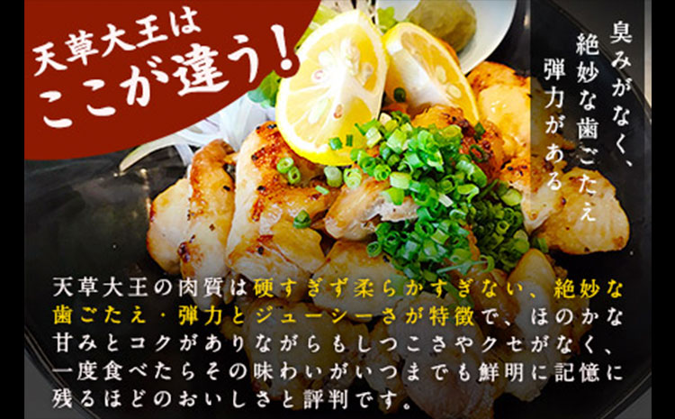 天草大王 ヘルシー セット 計2kg 【配送不可地域：離島】 あそ大王ファーム株式会社 《60日以内に出荷予定(土日祝除く)》熊本 産山 鶏 鶏肉 むね ささみ