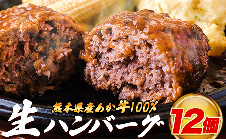 熊本県産あか牛100%生ハンバーグ 140g×12個入り 合計1680g《30日以内に出荷予定(土日祝除く)》熊本県産あか牛 冷凍