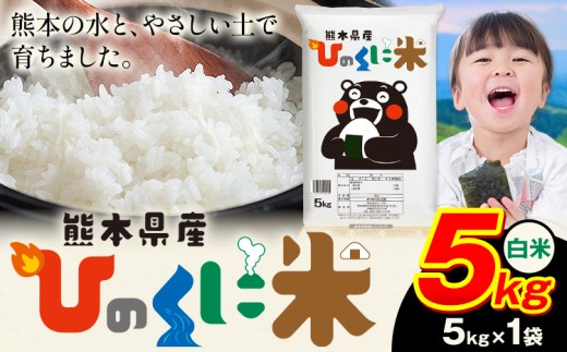 白米 ひのくに米 5kg 《7-14日以内に出荷予定(土日祝除く)》 食品 米 こめ コメ 熊本県産 ふるさと納税 お米 おこめ 熊本