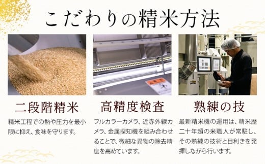 無洗米 ひのくに米 20kg 《7-14日以内に出荷予定(土日祝除く)》 食品 米 こめ コメ 熊本県産 ふるさと納税 お米 おこめ 熊本