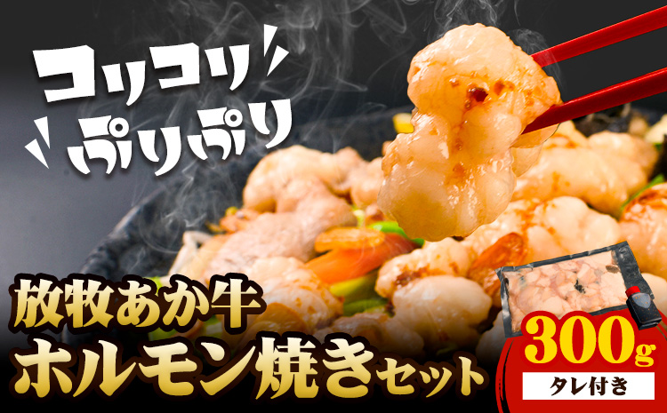 放牧 あか牛 ホルモン焼き 300g 焼肉正 ホルモン ギフト 贈り物 お歳暮 贈答 熊本 阿蘇 産山村 《30日以内に出荷(土日祝除く)》牛肉 牛 あか牛 おつまみ【配送不可地域あり】