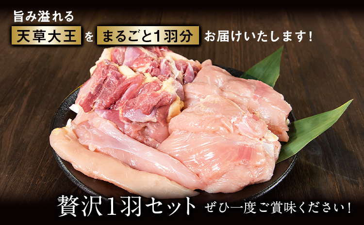 倩è倧ç èŽ
æ²¢1矜 ã»ãã èš1.5kg ãé
éäžå¯å°åïŒé¢å³¶ããã倧çãã¡ãŒã æ ªåŒäŒç€Ÿ ã60æ¥ä»¥å
ã«åºè·äºå®(忥ç¥é€ã)ãçæ¬ ç£å±± é¶ é¶è ãã ãã ããã¿