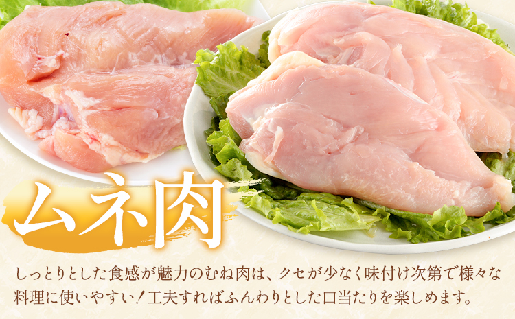 鶏肉 熊本いっちゃん鶏 むね肉 一枚肉  約3kg 10枚 株式会社九州児湯フーズ《30日以内に出荷予定(土日祝除く)》 鶏ムネ むね 熊本県 産山村