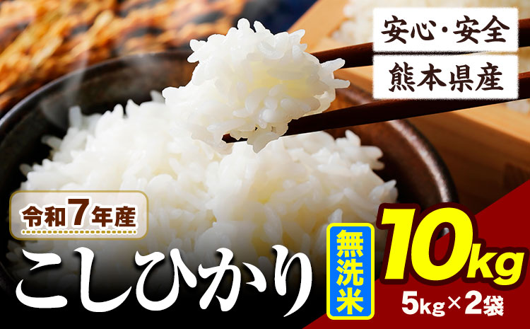 令和7年産 こしひかり 10kg 《7-14日以内に出荷予定(土日祝除く)》熊本県産 ふるさと納税 無洗米 ひの 米 こめ ふるさとのうぜい コシヒカリ コメ お米 おこめ