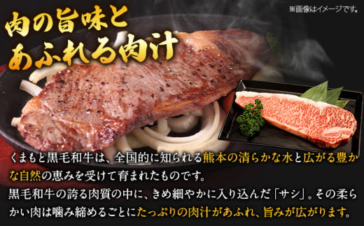 縺上∪繧ゅ→鮟呈ッ帛柱迚 繧オ繝シ繝ュ繧、繝ウ繧ケ繝繝シ繧ュ 1kg 迚幄i 蜀キ蜃 縲30譌・莉・蜀縺ォ蜃コ闕キ莠亥ョ(蝨滓律逾晞勁縺)縲 縺上∪繧ゅ→鮟呈ッ帛柱迚 鮟呈ッ帛柱迚 蜀キ蜃榊コォ 蛟句挨 蜿門縺 蟆丞縺 蛟句桁陬 繧ケ繝繝シ繧ュ閧 縺ォ繧 繧オ繝シ繝ュ繧、繝ウ繧ケ繝繝シ繧ュ