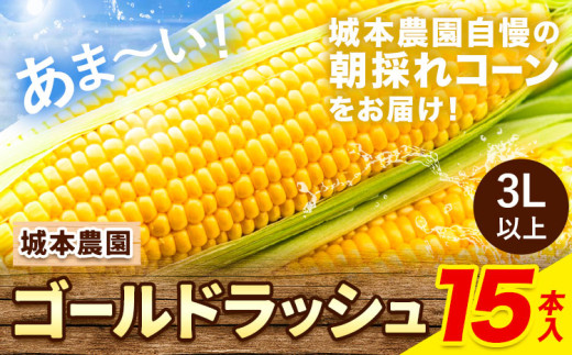 《先行受付開始》産地直送 とうもろこし 朝採れ スイートコーン ゴールドラッシュ 15本セット 特大 熊本 阿蘇 産山村トウモロコシ ギフト 今が旬 コーン 旬 お取り寄せ 人気 大人気 贈答《2026年7月中旬-8月中旬出荷》