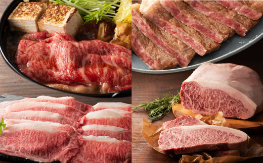 熊本黒毛和牛「藤彩牛」厳選4種の贅沢セット《30日以内に出荷予定(土日祝除く)》
