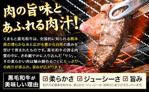 A4〜A5等級 黒毛和牛 切り落とし 上 ロース 焼肉 切り落とし 900g《30日以内に出荷予定(土日祝除く)》くまもと黒毛和牛 熊本県 産山村 上ロース 焼肉用 黒毛和牛 焼肉 肉 お肉 和牛 A5 A4 300g リブロース サーロイン