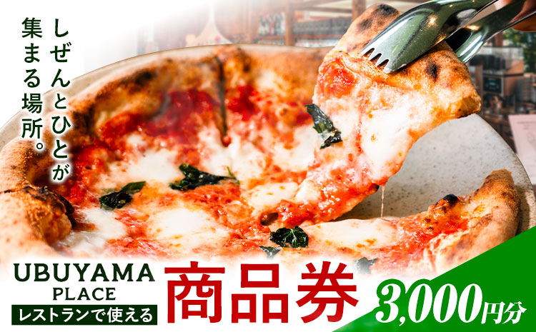 UBUYAMA PLACE レストラン 商品券 3000円 《30日以内に出荷予定(土日祝除く)》熊本県 産山村 チケット イタリアン ピザ 観光 プレゼント 贈り物 ギフト 金券 送料無料 産山 プレイス ランチ