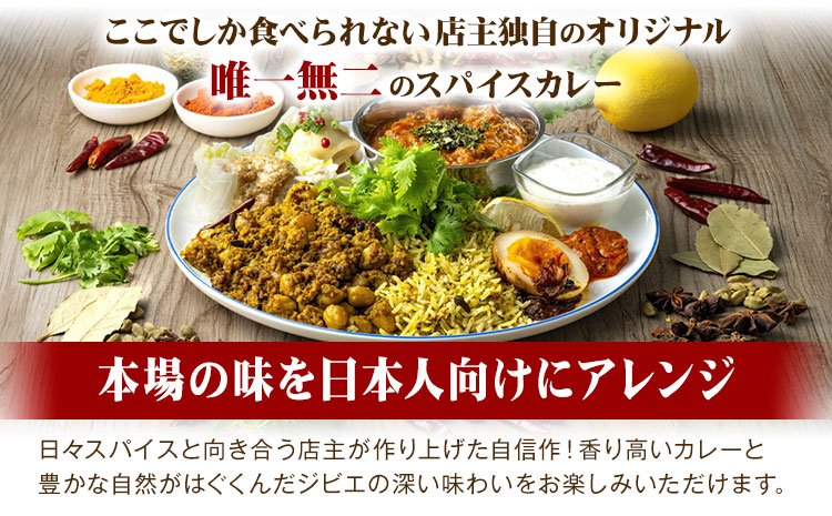 阿蘇の鹿キーマカレー＆阿蘇の猪カレー【2食セット】マサラキッチン 冷凍 鹿肉 猪肉 ジビエ ジビエカレー カレー スパイスカレー スパイス 冷凍カレー 絶品 贈答用 ギフト お中元 お歳暮 産山村 送料無料《60日以内に出荷予定(土日祝除く)》【配送不可地域あり】