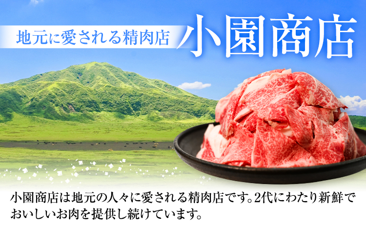熊本県産あか牛 切り落とし 1000g あか牛 牛肉 切り落とし 切落し ギフト 贈り物 贈答用 熊本 阿蘇 送料無料 【配送不可地域：離島】《60日以内に出荷予定(土日祝除く)》