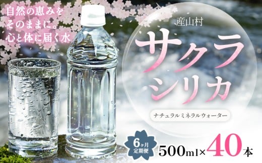 【6ヶ月定期便】サクラシリカ 500ml × 40本 みずの里《申込月の翌月から出荷開始》熊本県 阿蘇郡 産山村 ミネラルウォーター シリカ 水 天然水 鉱水 ラベルレス ラベルなし