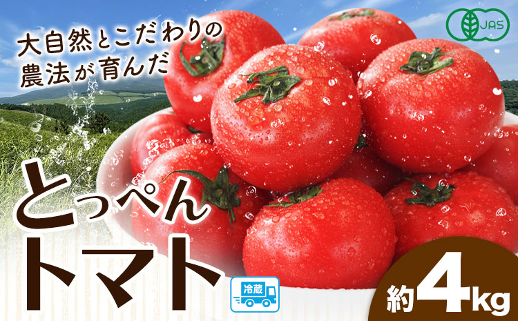 有機JASとっぺんトマト 約4kg 旬 お取り寄せ 詰め合わせ 贈答 ギフト お中元 お歳暮 熊本 阿蘇 産山村 送料無料 トマト 無農薬 有機《7月上旬-8月下旬頃出荷》