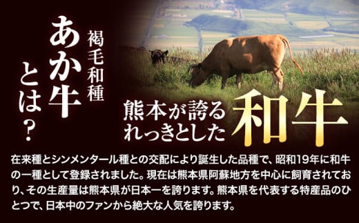 あか牛切り落とし 1.1kg(275g×4パック) 焼肉用カルビ 《30日以内に出荷予定(土日祝除く)》肉 牛肉 切り落とし 国産牛 切落とし ブランド牛 スライス 焼肉 小分け