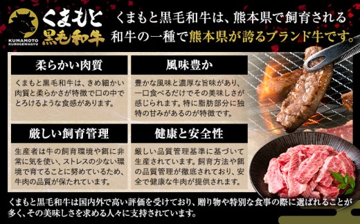 A4〜A5等級 黒毛和牛 切り落とし 上 カルビ 焼肉 切り落とし 900g《30日以内に出荷予定(土日祝除く)》くまもと黒毛和牛 熊本県 産山村 上カルビ 焼肉用 黒毛和牛 焼肉 肉 お肉 和牛 A5 A4 300g 小分け