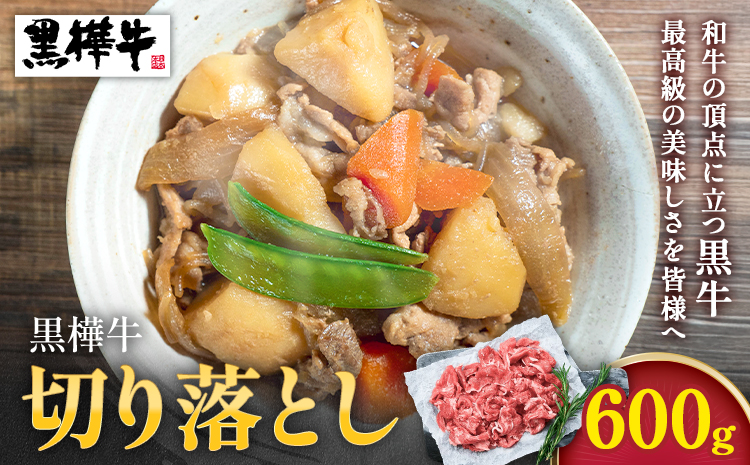 熊本県産黒毛和牛　黒樺牛切り落とし　600g 肉好き必見 黒毛和牛 黒樺牛 肉 牛肉 切り落とし 国産 専門店 熊本県 取り寄せ 贈答 ギフト お中元 お歳暮 熊本 阿蘇 産山村 送料無料《60日以内に出荷(土日祝除く)》
