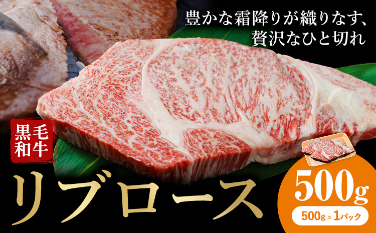 くまもと黒毛和牛・リブロース約500g《60日以内に出荷予定(土日祝除く)》