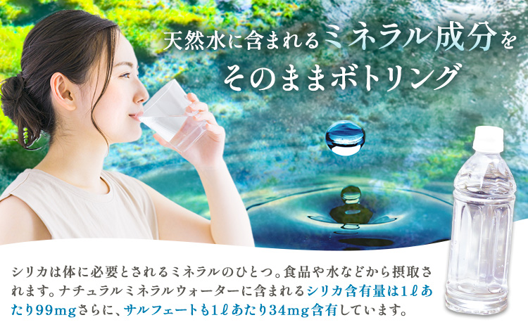 【12ヶ月定期便】サクラシリカ 500ml 16本 定期便 みずの里《お申込み翌月から出荷》熊本県 阿蘇郡 産山村 ミネラルウォーター シリカ 水 天然水 鉱水 ラベルレス ラベルなし