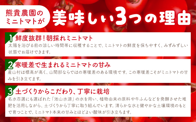 繝溘ル繝医槭ヨ 縺サ繧後∪繧 邏1kg 辭願イエ霎イ蝨偵7譛井ク頑流-11譛井ク頑流蜃コ闕キ縲狗頑悽逵 髦ソ陂驛。 逕」螻ア譚 繝溘ル繝医槭ヨ 繝医槭ヨ 縺ィ縺セ縺ィ 驥手除 繧縺輔> 繝励メ繝医槭ヨ