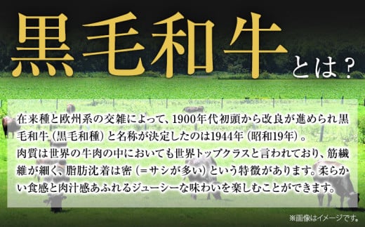 縺上∪繧ゅ→鮟呈ッ帛柱迚 繝偵Ξ繧ケ繝繝シ繧ュ 450g 迚幄i 蜀キ蜃 縲90譌・莉・蜀縺ォ蜃コ闕キ莠亥ョ(蝨滓律逾晞勁縺)縲 縺上∪繧ゅ→鮟呈ッ帛柱迚 鮟呈ッ帛柱迚 蜀キ蜃榊コォ 蛟句挨 蜿門縺 蟆丞縺 蛟句桁陬 繧ケ繝繝シ繧ュ閧 縺ォ繧 繝偵Ξ繧ケ繝繝シ繧ュ