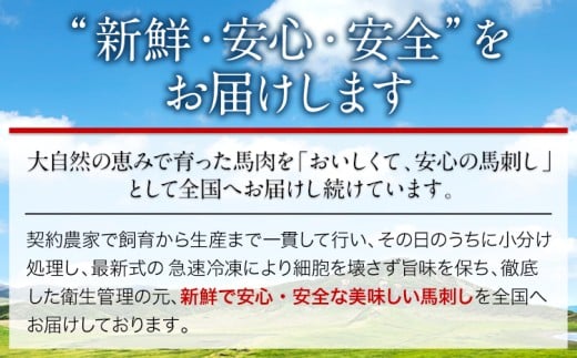  馬刺し 赤身馬刺し 400g タレ付き 1本 150ml 桜屋《60日以内に出荷予定(土日祝除く)》 熊本県 産山村 送料無料 肉 馬肉 馬さし タレ 赤身