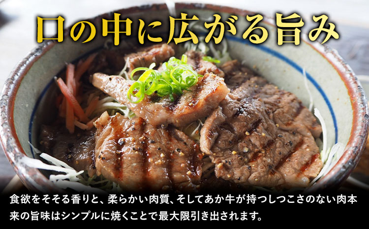 熊本県産 あか牛 焼肉 600g UBUYAMAPLACE《60日以内に出荷予定(土日祝除く)》あか牛 肉 牛肉 国産牛 ブランド牛 焼肉 小分け