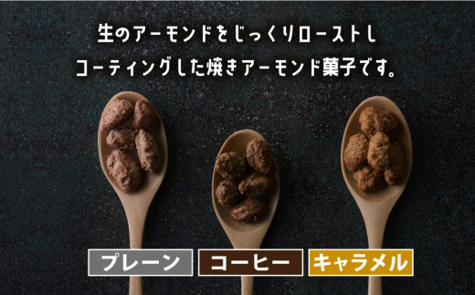 çŒãã¢ãŒã¢ã³ããšçŒãã¢ãŒã¢ã³ããã¿ãŒã»ããïŒåèš5ç¹ïŒ