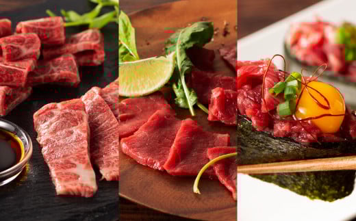 「本場・熊本」霜降り馬刺しと赤身の贅沢6種セット《30日以内に出荷予定(土日祝除く)》		