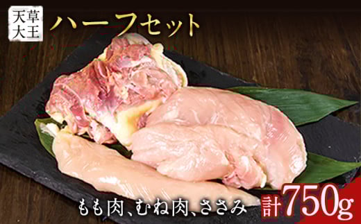 【ふるさと納税】天草大王 もも・むね・ささみセット 750g 【配送不可地域：離島】 あそ大王ファーム株式会社《60日以内に出荷予定(土日祝除く)》熊本 産山 鶏 鶏肉 セット