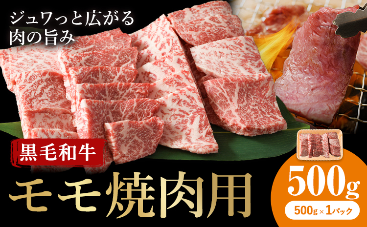 くまもと黒毛和牛・モモ焼肉用約500g《60日以内に出荷予定(土日祝除く)》