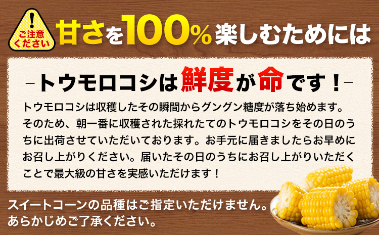 【先行予約】【着日指定不可】 すごあまこーん とうもろこし 極甘 スイートコーン ゴールドラッシュ 恵味 10本 《2026年7月中旬-8月上旬頃出荷予定》熊本県 産山村 野菜 夏野菜 コーン トウモロコシ 一番果 冷蔵