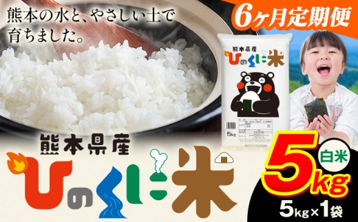 【6ヶ月定期便】 白米 ひのくに米 5kg 《お申込み翌月から出荷》 食品 米 こめ コメ 熊本県産 ふるさと納税 お米 おこめ 熊本