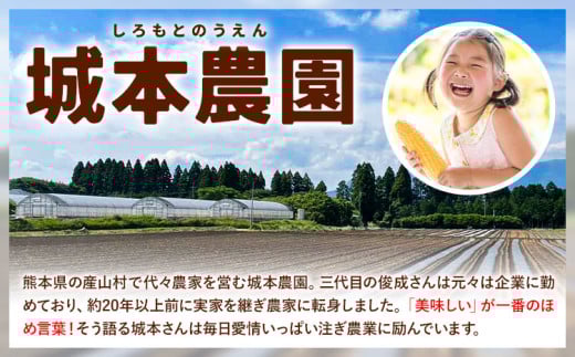 《先行受付開始》産地直送 とうもろこし 朝採れ スイートコーン ゴールドラッシュ 15本セット 特大 熊本 阿蘇 産山村トウモロコシ ギフト 今が旬 コーン 旬 お取り寄せ 人気 大人気 贈答《2026年7月中旬-8月中旬出荷》