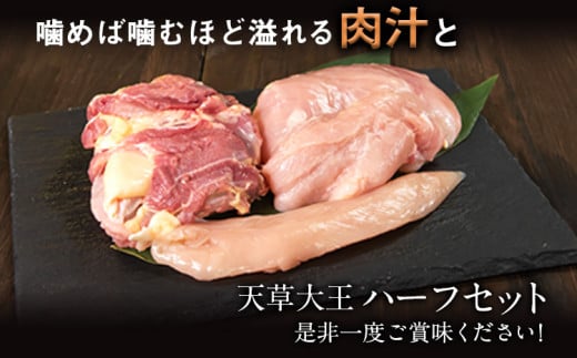 【ふるさと納税】天草大王 もも・むね・ささみセット 750g 【配送不可地域：離島】 あそ大王ファーム株式会社《60日以内に出荷予定(土日祝除く)》熊本 産山 鶏 鶏肉 セット