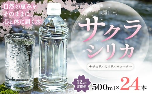 【12ヶ月定期便】サクラシリカ 500ml × 24本 みずの里《申込月の翌月から出荷開始》熊本県 阿蘇郡 産山村 ミネラルウォーター シリカ 水 天然水 鉱水 ラベルレス ラベルなし