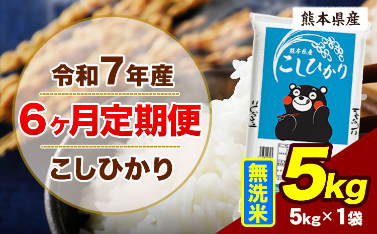 【6ヶ月定期便】令和7年産 定期便 こしひかり 5kg  無洗米 阿蘇 うぶやま 米 定期便 熊本県産 ふるさと納税 精米 ひの 米 こめ ふるさとのうぜい コシヒカリ コメ お米 おこめ《お申込み翌月から出荷》