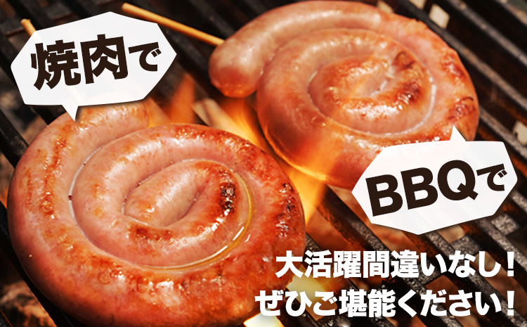 阿蘇 大自然のおくりもの ぐるぐるウインナー 焼肉正 ウインナー ソーセージ 人気 ギフト 詰め合わせ 贈り物 お中元 お歳暮 贈答 熊本 阿蘇 産山村 送料無料《60日以内に出荷(土日祝除く)》【配送不可地域あり】
