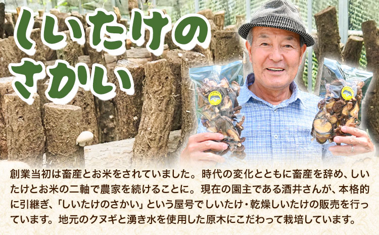 阿蘇・産山村産 原木生しいたけ 中玉800g(200g×4袋) 椎茸 しいたけ 生しいたけ しいたけのさかい《6月中旬-11月下旬頃出荷》原木生しいたけ 贈答 ギフト お中元 お歳暮 熊本 阿蘇 産山村 送料無料 