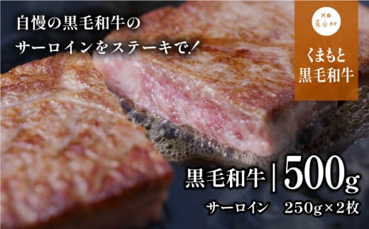 くまもと黒毛和牛・サーロイン約500g《60日以内に出荷予定(土日祝除く)》