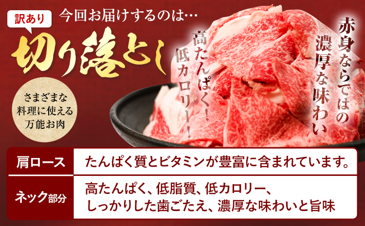 熊本県産あか牛 切り落とし 700g あか牛 牛肉 切り落とし 切落し ギフト 贈り物 贈答用 熊本 阿蘇 送料無料 【配送不可地域：離島】《60日以内に出荷予定(土日祝除く)》